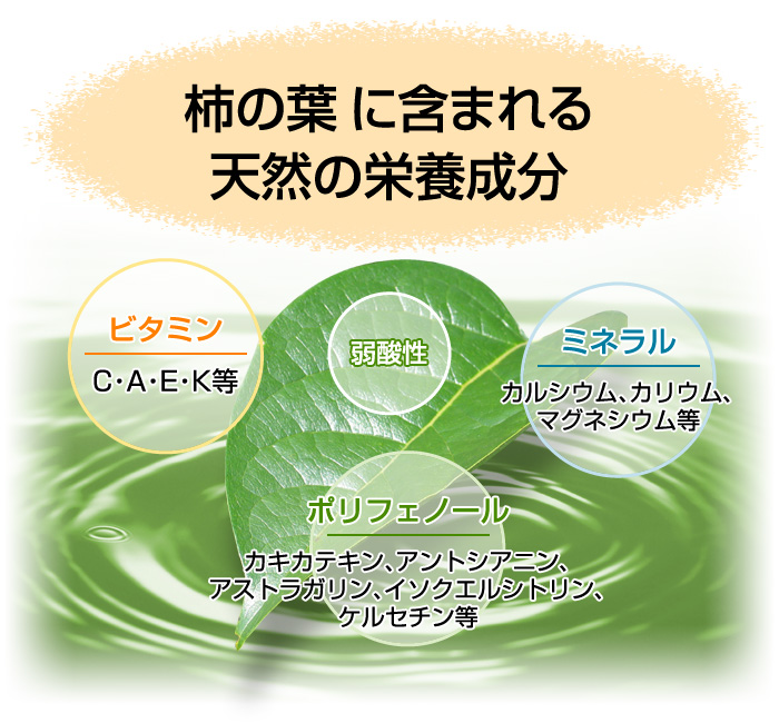『柿茶』は栄養バランスに優れた天然のサプリメント!!