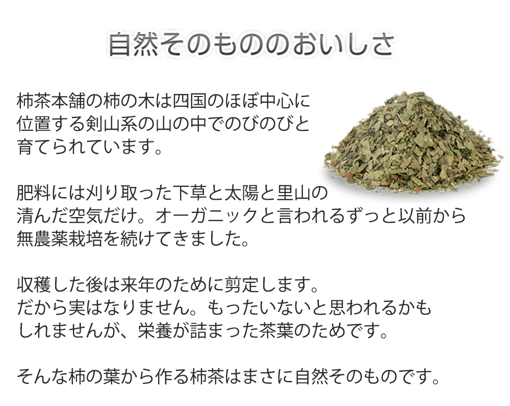有機柿茶1リットル用28袋（4g×28袋／約28リットル分） | 柿茶本舗